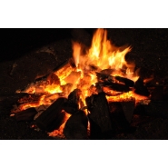 Campamento de 5to. y 6to. Grado